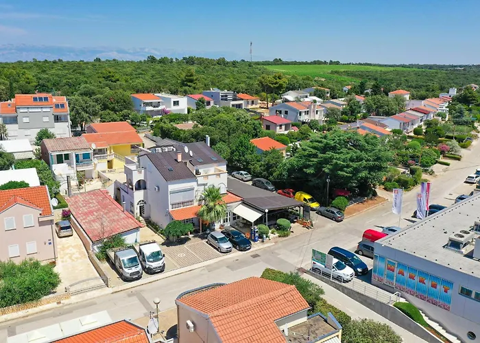 Malic * 돈제페트레케인