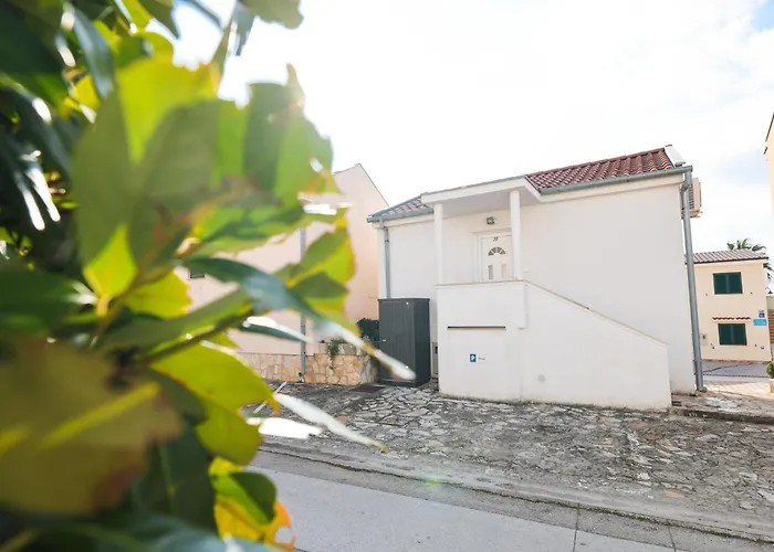 Malic 돈제페트레케인